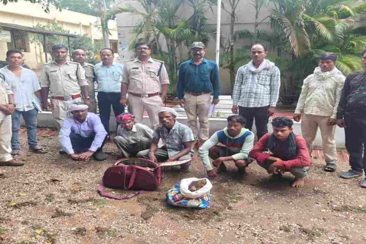 MP News: राष्ट्रीय पशु के अवयवों की खरीद-फरोख्त का पर्दाफाश, फॉरेंसिक जांच के लिए भेजे गए नमूने