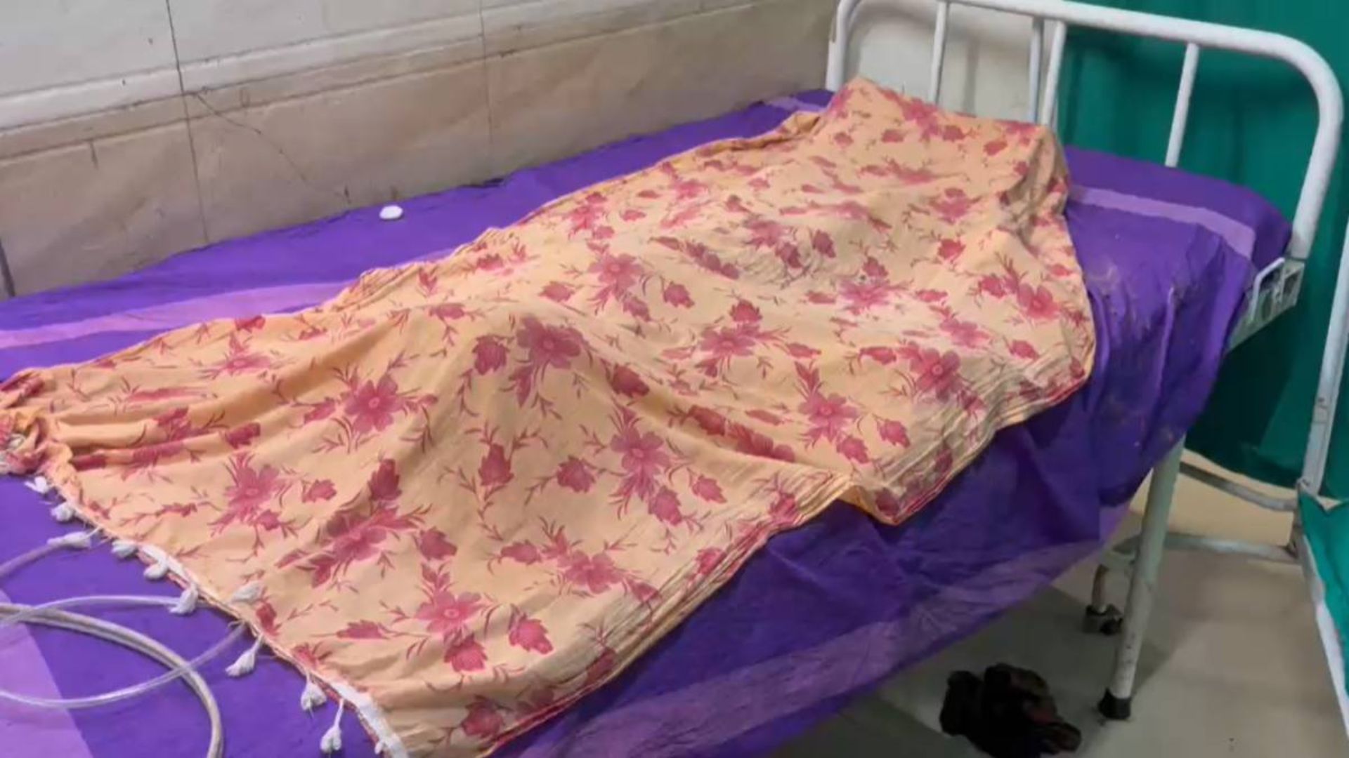 Korba News: दादर गांव में आवारा कुत्तों का आतंक, पहली कक्षा के छात्र को नोच-नोचकर मार डाला