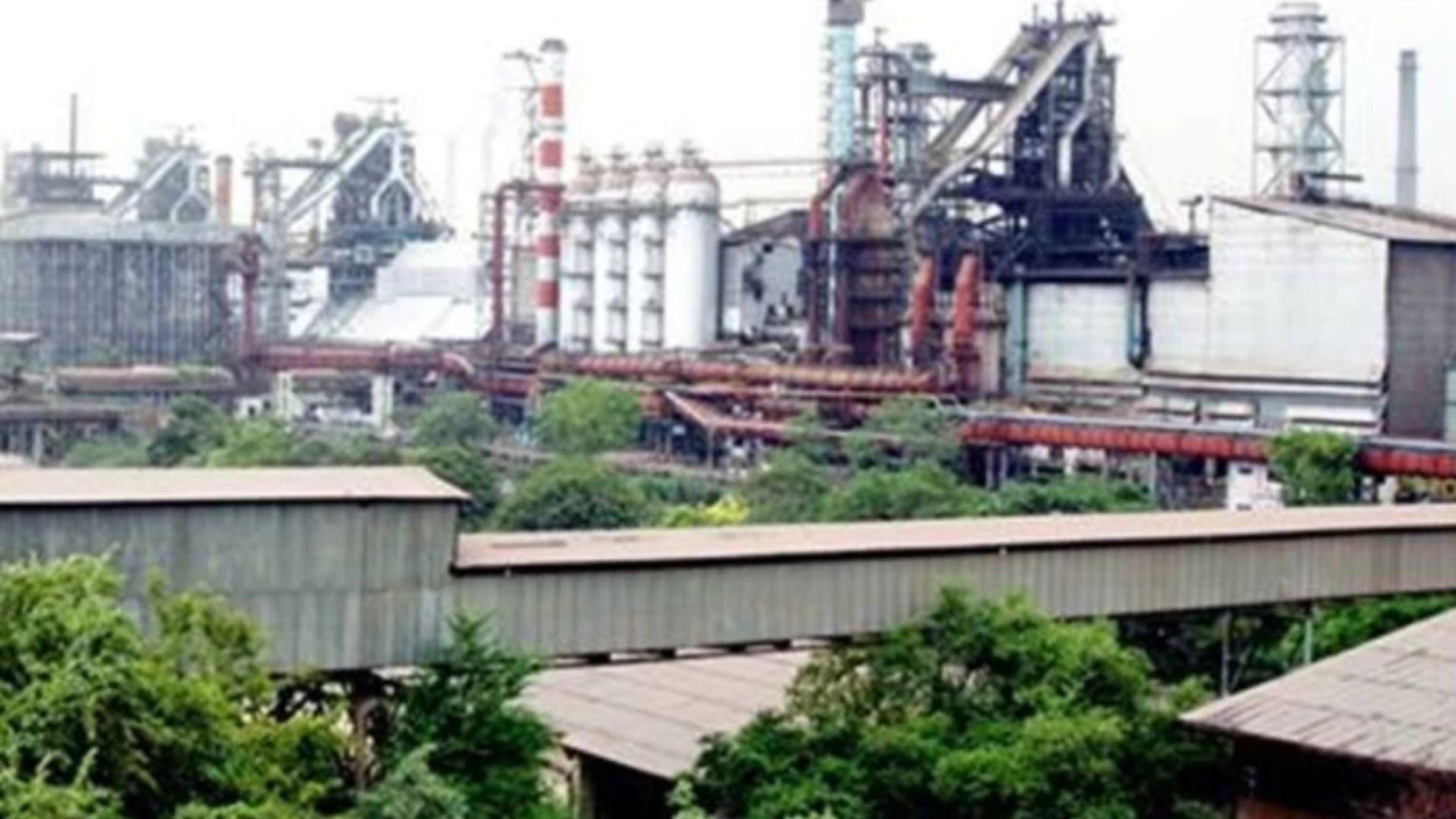 Bhilai News: जिंदल इस्पात में ठेका दिलाने का झांसा, पूर्व भारतीय क्रिकेटर के खिलाफ धोखाधड़ी का मामला