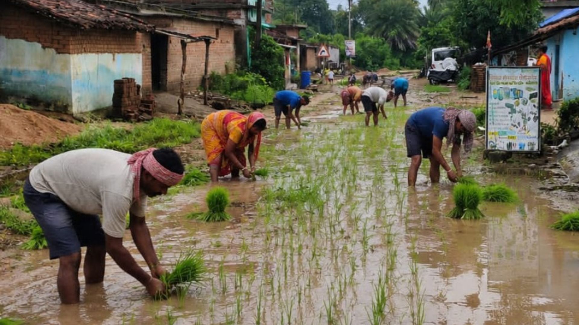 Raipur News: बिजली खंभों से लेकर सड़कों तक लटके फ्लैक्स, नो फ्लैक्स जोन में भी खुलेआम नियमों की अनदेखी