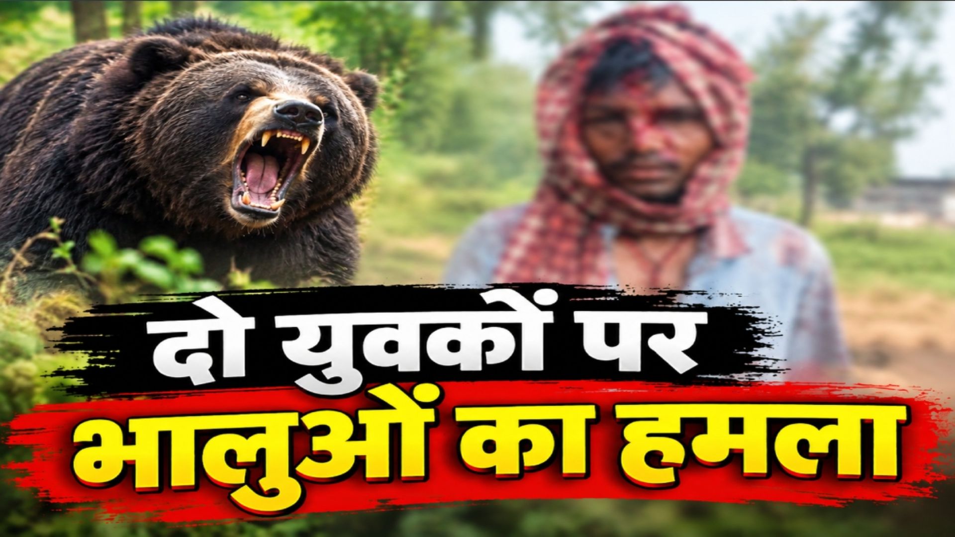 Dhamtari News: तुमडीबहार इलाके में चार भालुओं ने युवकों को घेरा, एक घायल