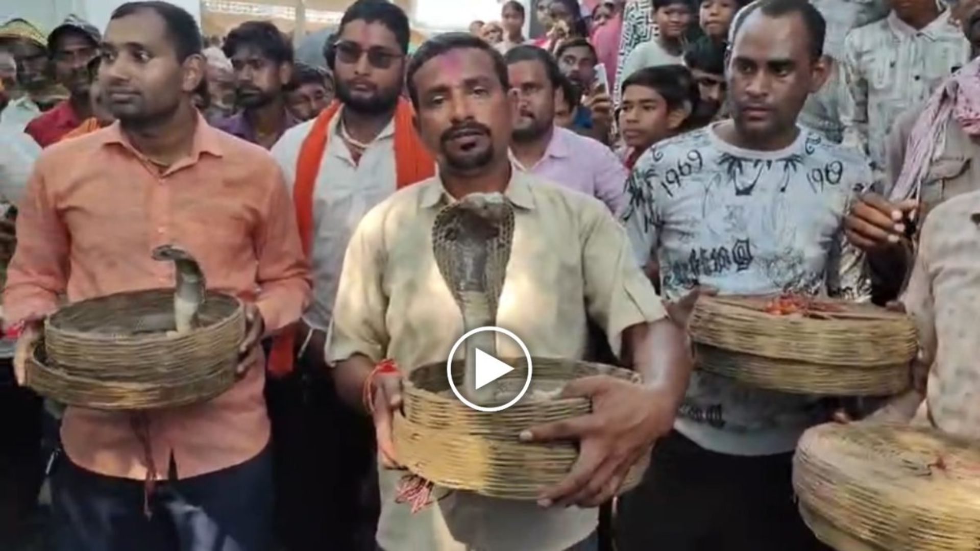 Gariyaband News: ढोल-नगाड़ों के बीच दर्जनों सांपों की शोभायात्रा, गरियाबंद के देवरी गांव में दिखी अनोखी परंपरा