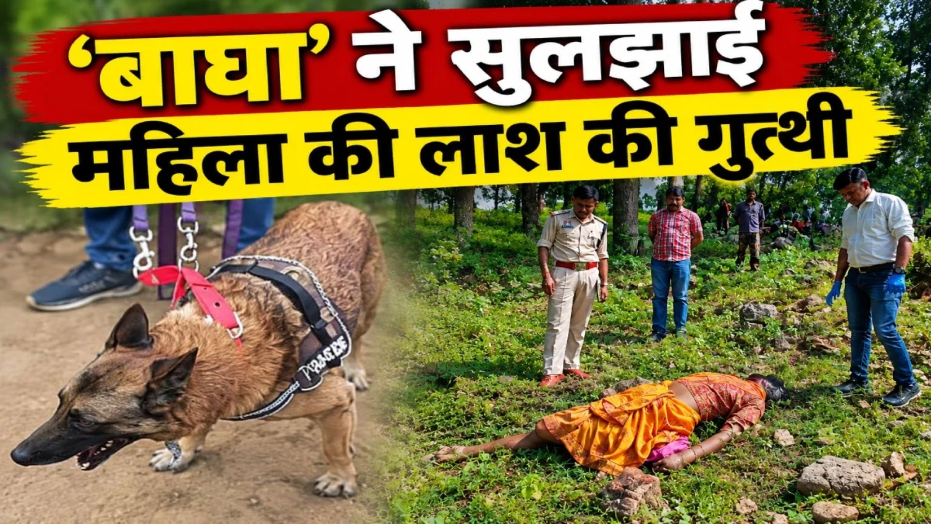 Korba News: शराब पिलाने से नाराज पड़ोसी ने महिला की पत्थर से कुचलकर की हत्या, डॉग बाघा की मदद से आरोपी गिरफ्तार
