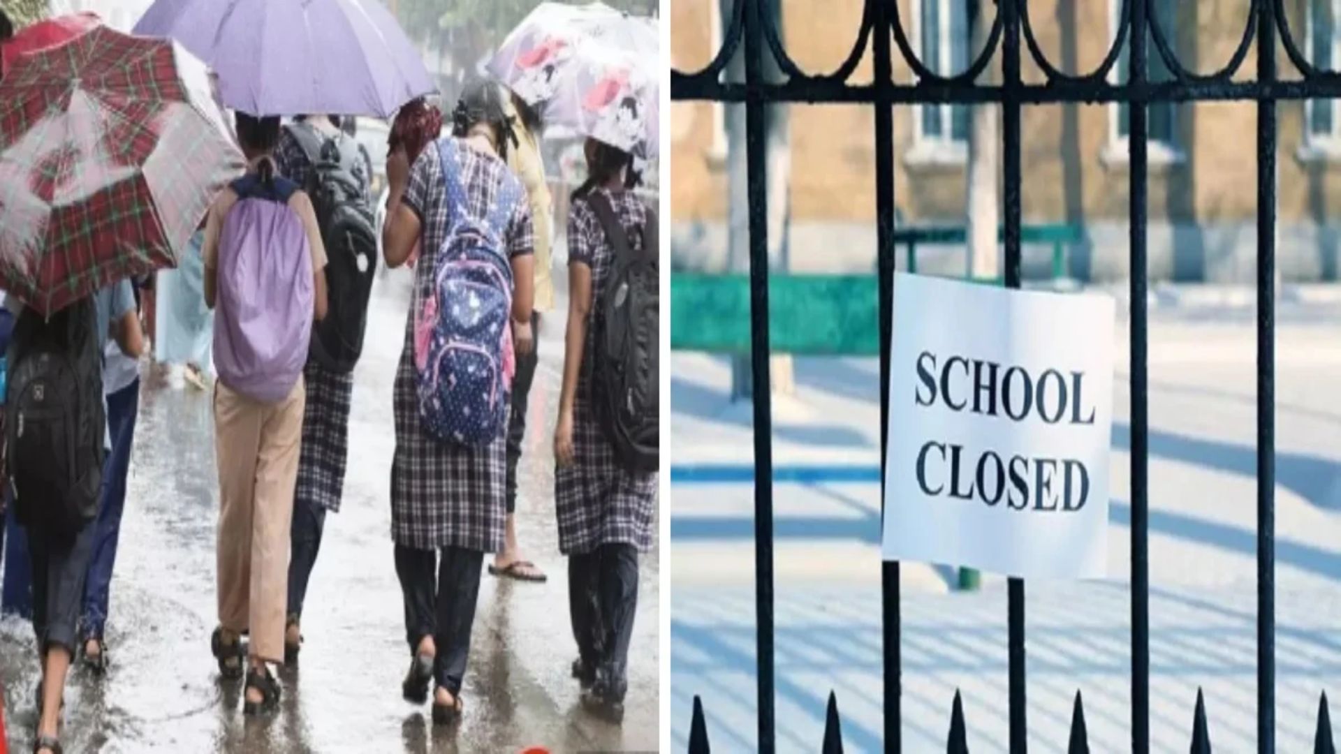 Balod News: लगातार बारिश के बीच विद्यार्थियों की सुरक्षा को देखते हुए जिले में स्कूलों की छुट्टी, 28 सितंबर को होगी परीक्षा