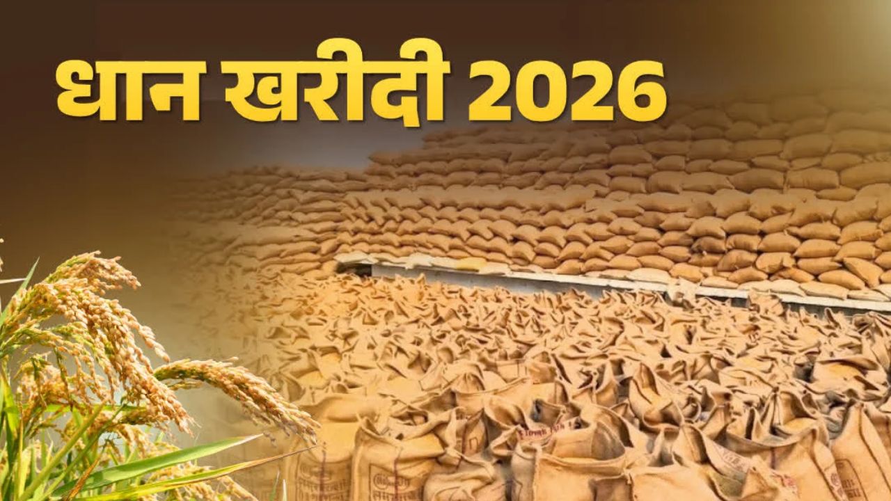 CG Dhan Kharidi: छत्तीसगढ़ में 15 नवंबर से शुरू होगी धान खरीदी, किसानों से ₹3100 प्रति क्विंटल की दर से खरीदेगी सरकार