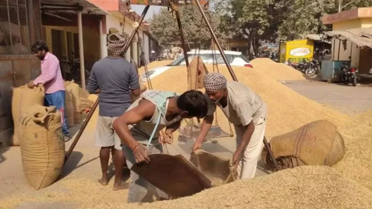 CG Dhan Kharidi 2026: धान खरीदी में पारदर्शिता के लिए सख्त व्यवस्था, 15 नवबंर से प्रक्रिया शुरू, 273 चेक पोस्ट पर निगरानी, QR कोड से रुकेगा पुनर्चक्रण