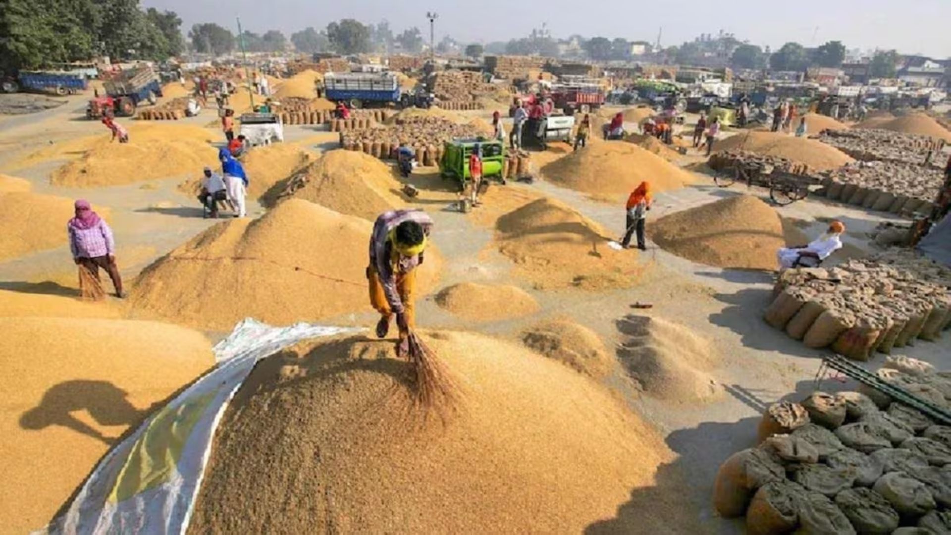 Chhattisgarh Dhan Kharidi News: संयुक्त खातों वाले किसानों के लिए नई व्यवस्था, धान बेचने के लिए सह खातेदारों के अलग-अलग पंजीयन की अनिवार्यता खत्म