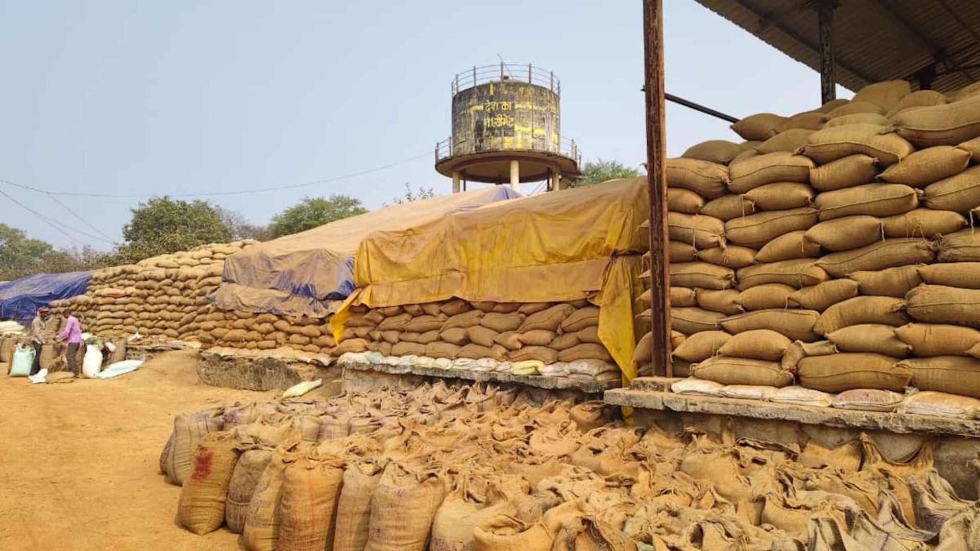 Kawardha News: धान खरीदी में 17.63 करोड़ रुपये की कमी, 52 उपार्जन केंद्रों और दो संग्रहण केंद्रों के स्टॉक में मिला अंतर
