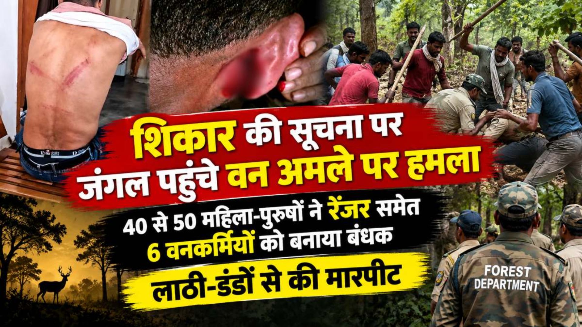 Mahasamund News: तमोरा जंगल में वन अमले को करीब 6 घंटे तक बनाया बंधक, मोबाइल से अधिकारियों और पुलिस को दी सूचना